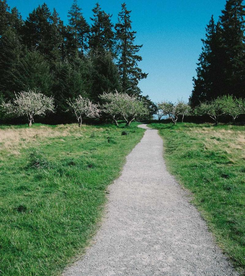 Forgotten Paths